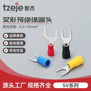 �~���Ӷ��� SV �~���� ���~/�S�~ �~������ �Ӿ����� ���� ����