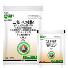 ��˹�� �̴� �������� �����Ѿ��� �������Ѹ����㽶��ݮ������