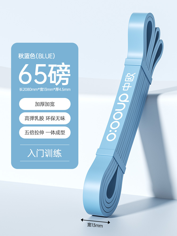 1.3 [가을 파랑] 약 29kg/65 파운드의 저항 (엔트리 레벨 훈련)