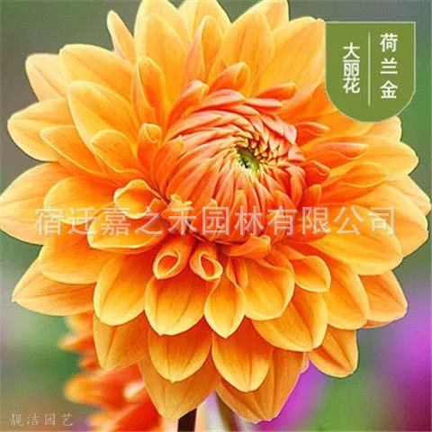 微信图片_20210607113740