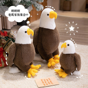 �羳�����B����@ë�q����������б��탺ͯ�Y��o��Ʒ��ż���l