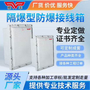 Explosion-Proof Junction Box, Distribution Box, Instrument Cabinet, Power Socket, Terminal, Control Button, Switch Box, Maintenance Complete Set