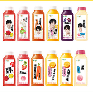 ����朰l؛����ؽM���b���ζȫÿ��C��֭����֭300ml*12ƿ