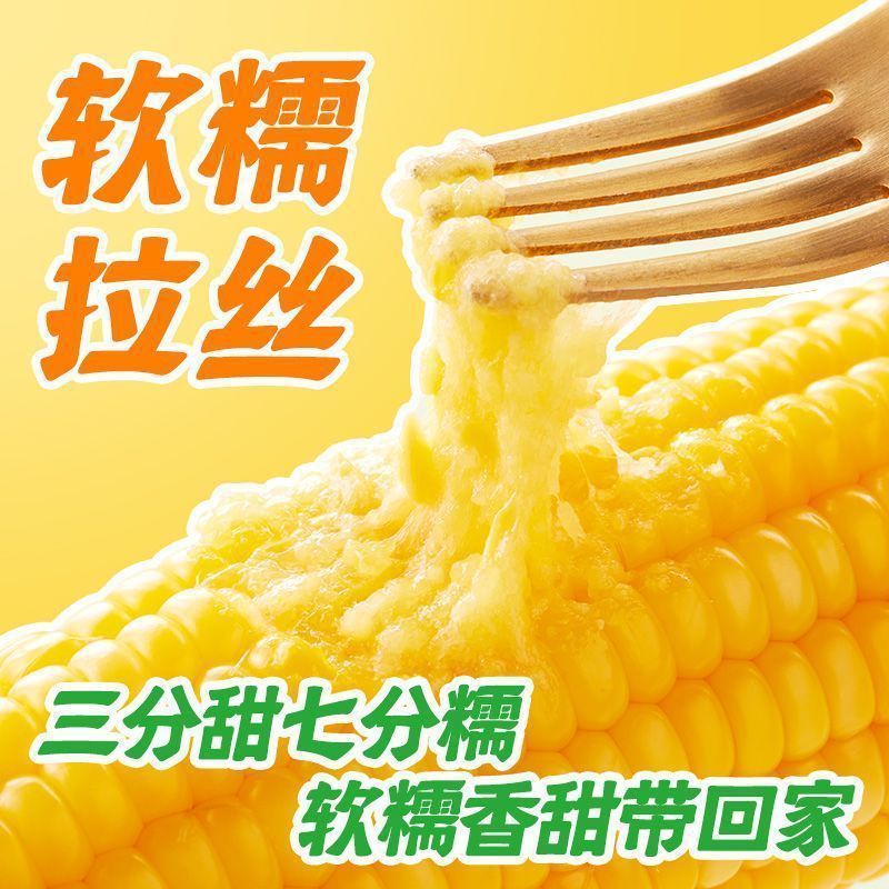 【10月田んぼ 黄色もちとうもろこし 大棒 220g*8本】真空パック 東北産全粒とうもろこし|undefined
