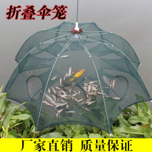 折叠鱼笼鱼网伞笼渔网捕鱼笼盖笼虾网虾笼折叠渔网笼鱼护抛网伞网