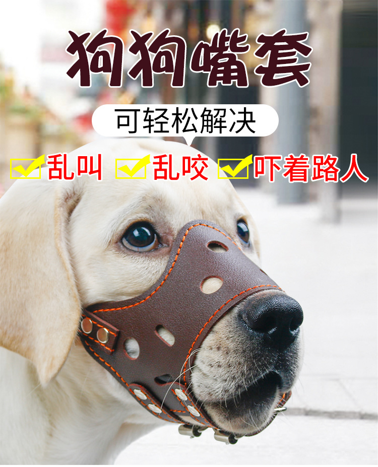 狗嘴套_01.jpg