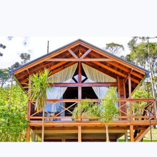 High-End Wooden House Homestay Camp Scenic Cultural Tourism Resort Wooden House Hotel Project Contract