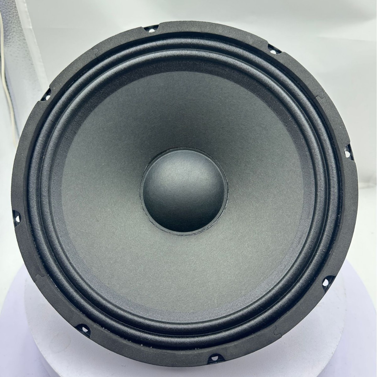 Excludizado transfronterizo para altavoz de rango medio de frecuencia completa de 120 magnéticos de 35 núcleos con borde de doble anillo de 10 pulgadas