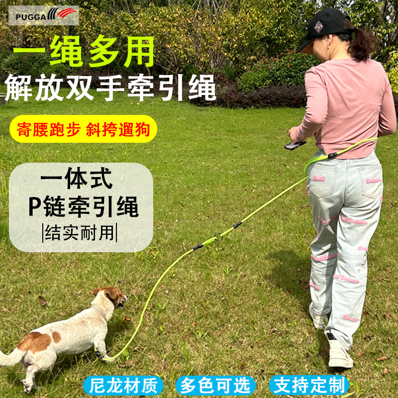 Amazon nueva mascota perro correa de nylon correa de perro pequeño perro