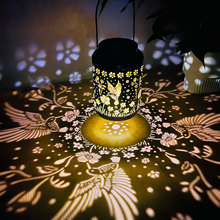 ���B̫��ܟ�����Ғ�����b���ˮ�b����@ͥԺ��ƺ����