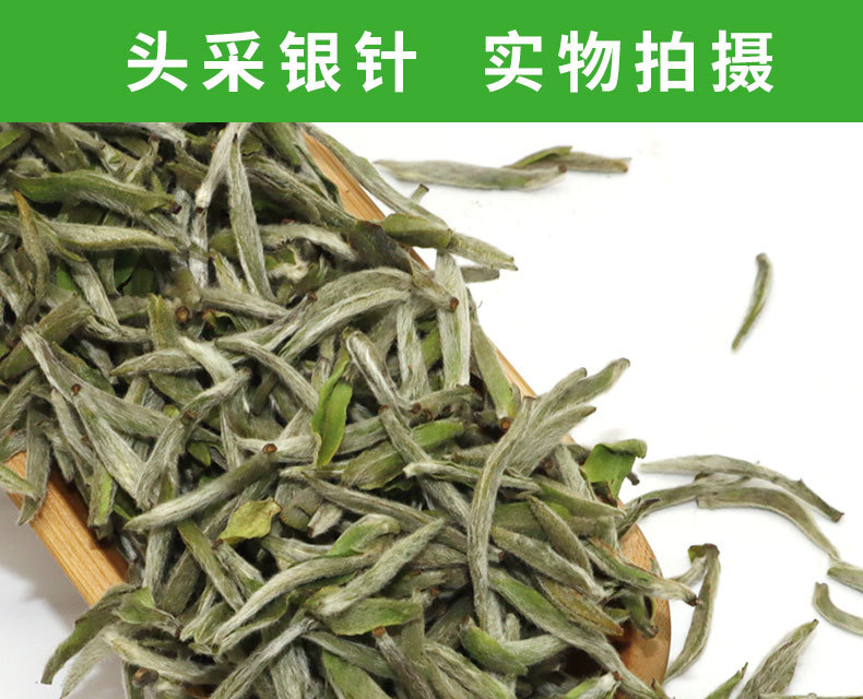 2021年头采银针-fx_12.jpg