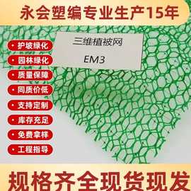 HDPE三维植被网边坡防护水土保持草籽固土绿化土工网垫护坡