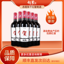 宁夏贺兰山赤霞珠干红葡萄酒国产领驼13度过节高档送礼批发红酒