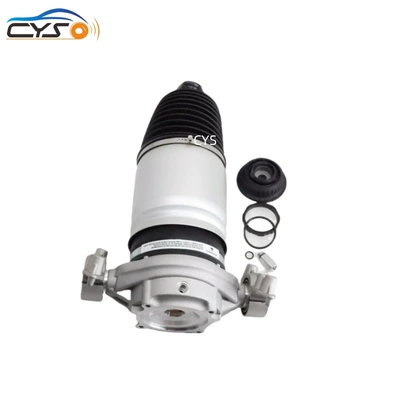Repair Kit 7P6616019K, damping system