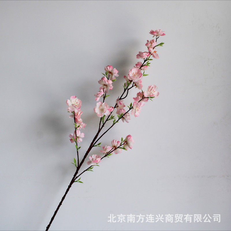 복숭아 가루