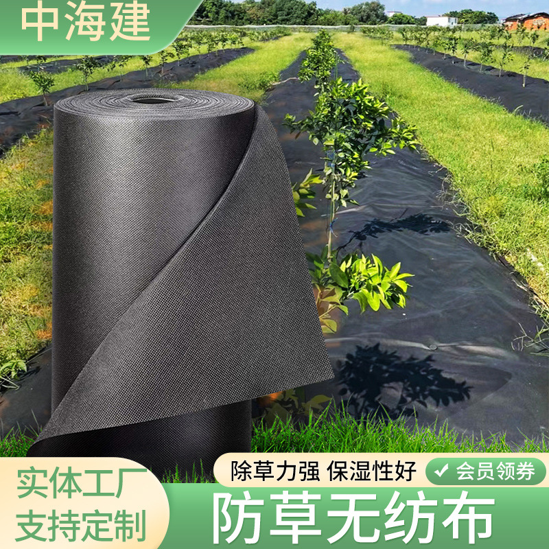 防草布地膜无纺布农用果园透气防草地布防草布抗UV纯料绿色防草布