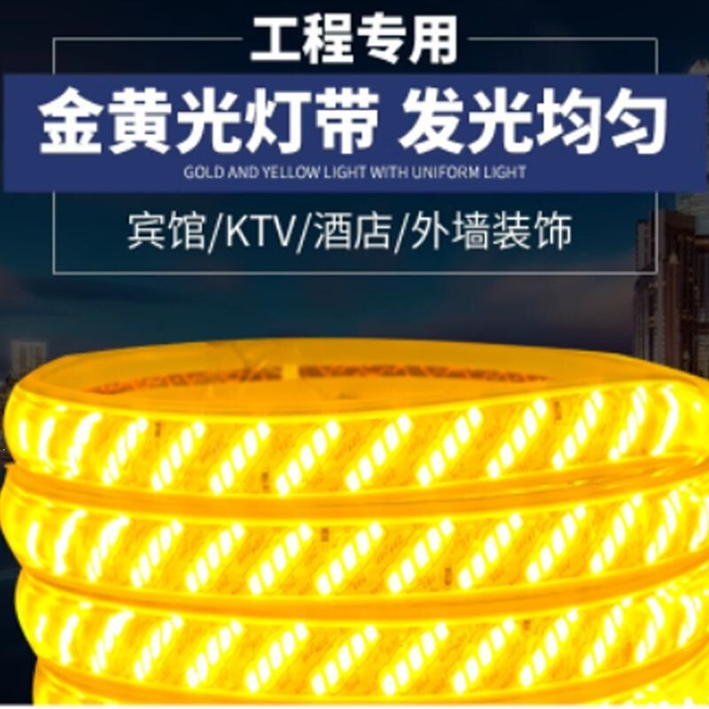 220V Outdoor Light Strip with Led Bright Light, Waterproof, Special Light Strip for Living Room, Eaves, and Exterior Walls, Outdoor Warm Light, Golden Yellow 220V Outdoor Light Strip with Led Bright Light, Waterproof, Special Light Strip for Living Room, Eaves, and Exterior Walls, Outdoor Warm Light, Golden Yellow