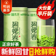 贡苑碧螺春绿茶早春新茶特嫩叶浓香型高档茶叶250g罐装送人自己喝