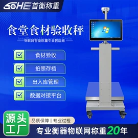 电子秤;显示仪表;台秤