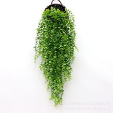 ����ֲ��5��69Ŀ��ڒ��ȼ����~�ٗl�����p�@���ٴ����Gֲ�b�