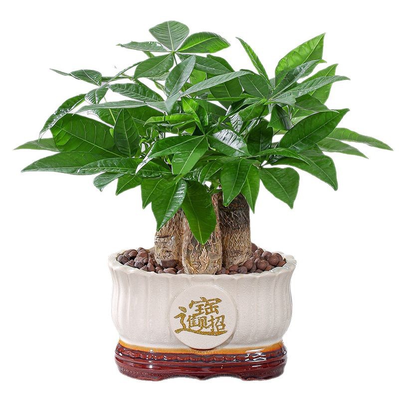 仿真绿植装饰