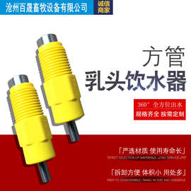 家禽乳头饮水器鸡鸭用饮水设备不锈钢鲁宾自动方管养鸡机械
