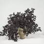 家居叶枝凌霄仿真藤条