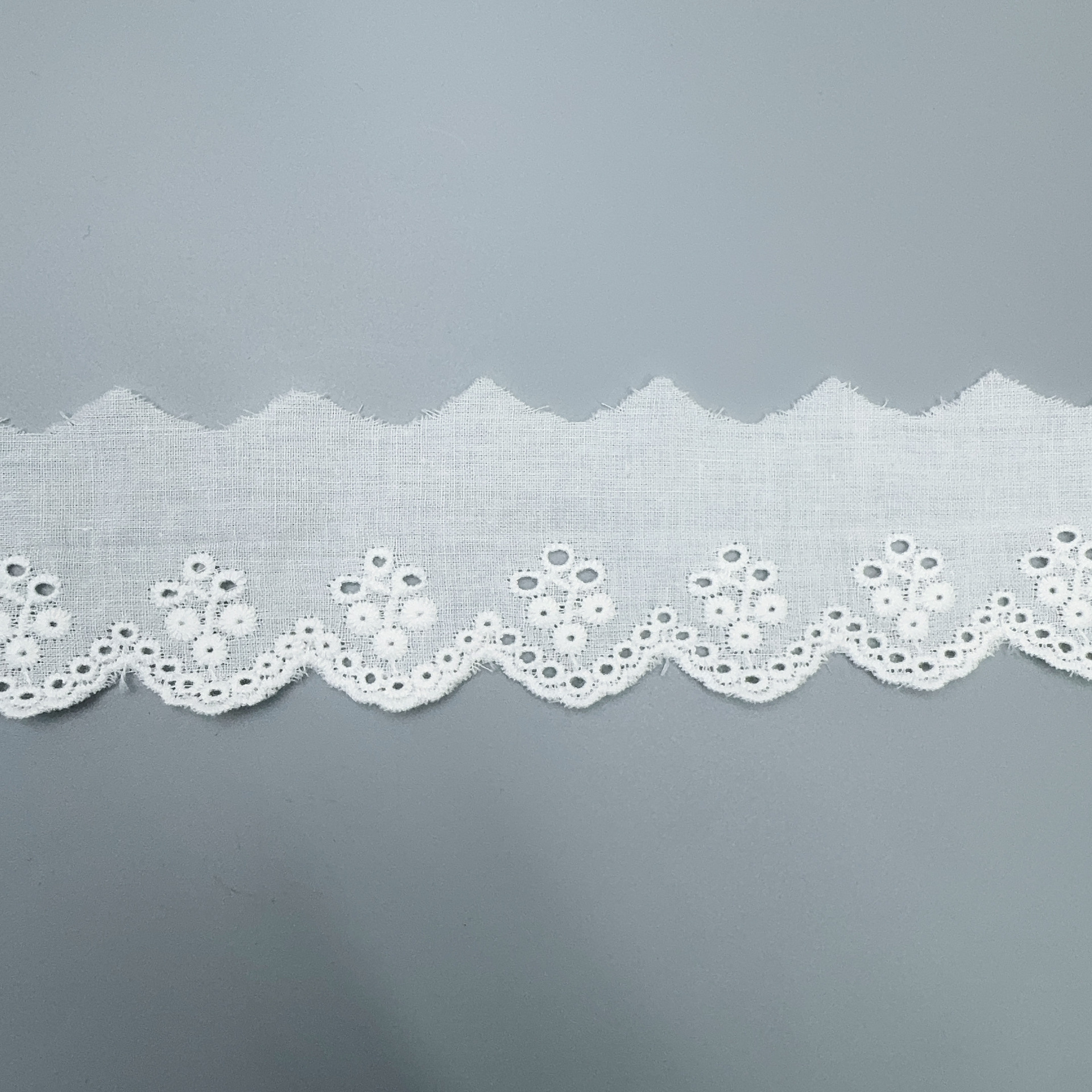 微信图片_20250309101126