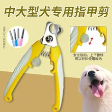 ����ָ�׼��д���Ȯ����؈���ëָ���Q����ָ�׵���ץ