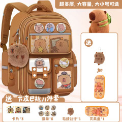 书包小学生女大容量耐脏儿童书包6-12岁男减负1-6年级小学生背包