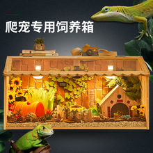鬃狮蜥爬宠饲养箱守宫刺猬角蛙蜥蜴爬虫箱养殖保温爬箱造景宠物箱