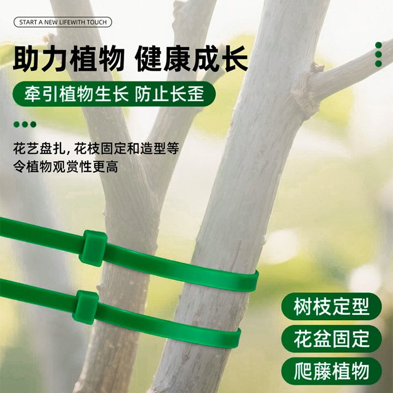植物結束バンド50本、園芸用プラスチック製セルフロック式結束バンド、30cm、緑色ナイロン結束バンド、盆栽用