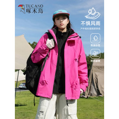 啄木鸟冲锋衣女款三合一防风防泼水外套秋冬季2025超火两件套女装