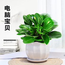 ���~����������X��ֲؐ�ﳣ�G�����k���҃����՚��ļ����B����G