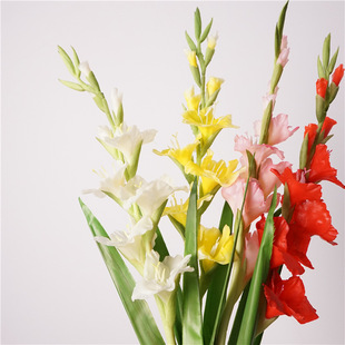 �S�ҹ������滨���m����c�b�ɫ��֧�ٻ��Ƶ��d���������