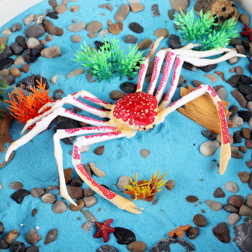 Simulated ocean spider crab animal model children's cognitive toy plastic ornaments static science and education crab figure