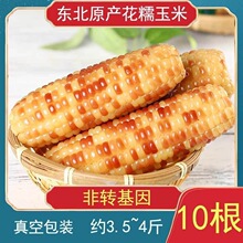 东北花糯玉米棒10棒花苞米现摘真空包装新货新鲜甜玉米即食代发