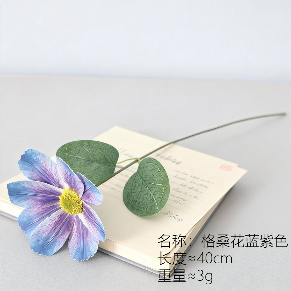 Flor de Gesang azul púrpura