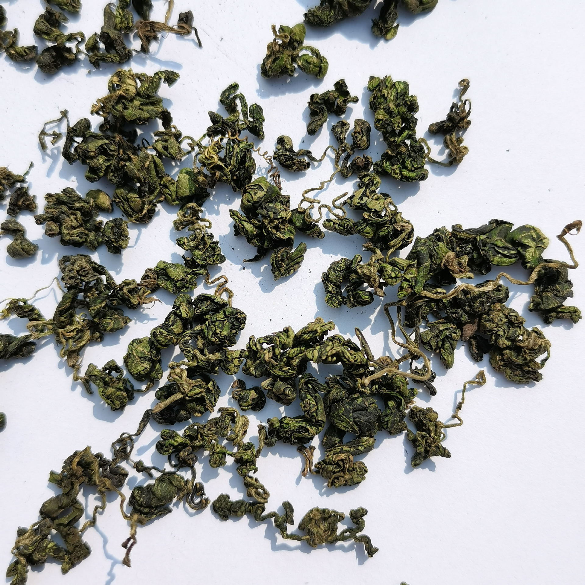 散裝批發福建絞股藍 龍珠絞股蘭茶葉七葉絞股藍葉另有花果茶批發