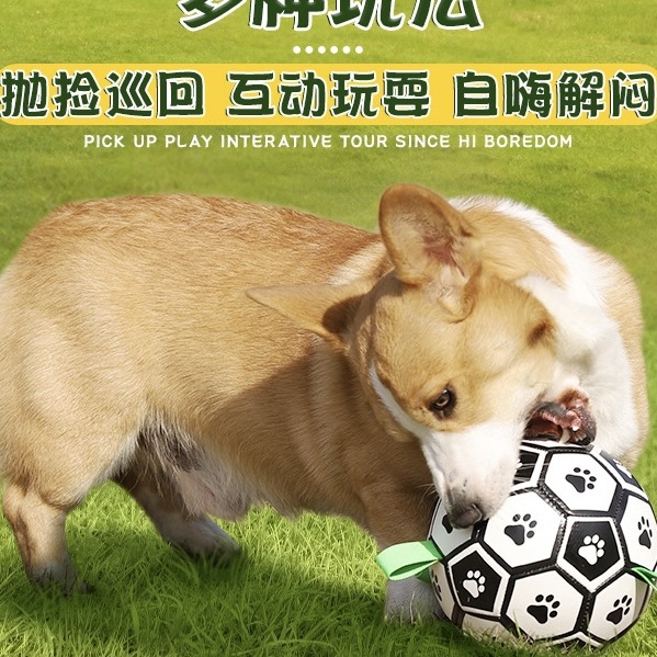 Dog Toy Ball, Border Collie Self-Pleasure Football, Golden Retriever Corgi Dog Training Pet, Bite-Resistant and Sounding Bell Ball Supplies