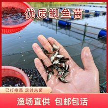 ���|��Ʒ�N�a�~���п�5̖�����a����a�߱��a�~��ˮ�Bֳ���~���~