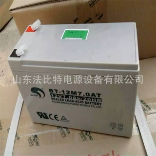 赛特消防应急电池BT-12M7.0AT免维护12V7Ah 质保一年 包运