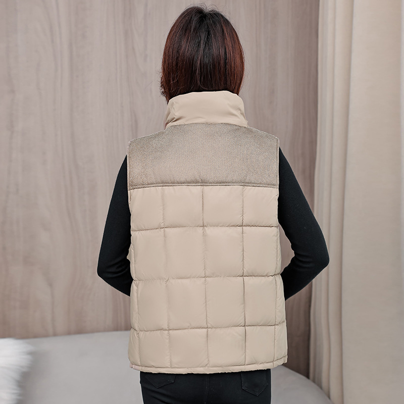Moda chaleco de algodón mujer 2025 invierno nuevo estilo coreano relajado y delgado con aire extranjero grueso calentamiento clip