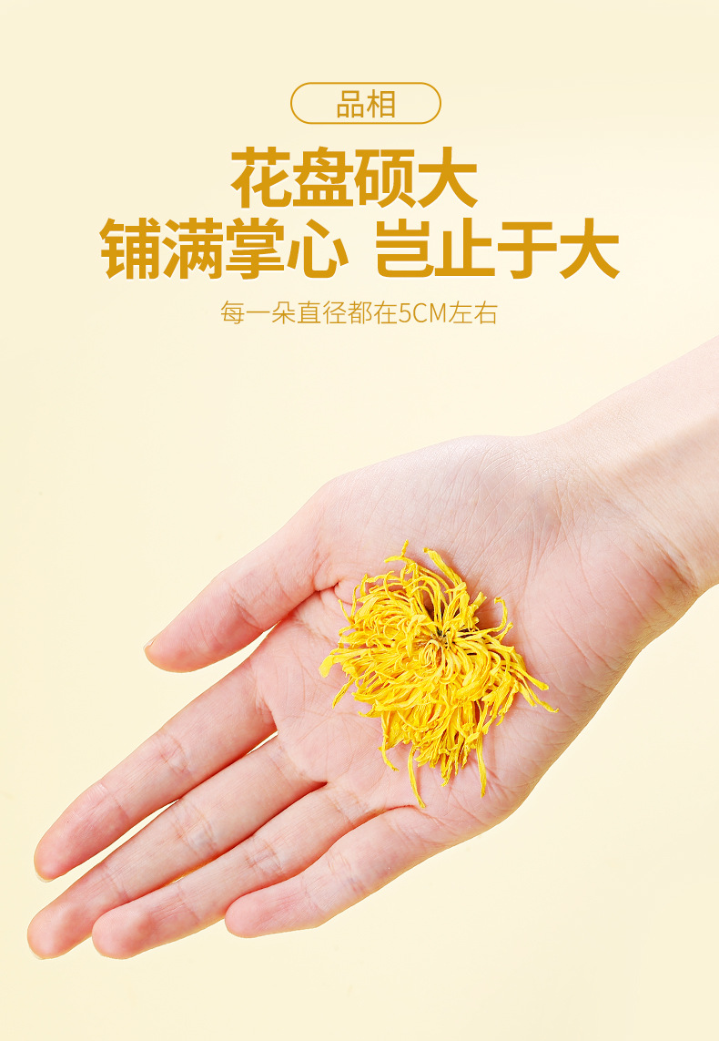 Golden Silk Chrysanthemum Tea Gift Box 6g Individually Wrapped Whole Flower Chrysanthemum Tea specifications