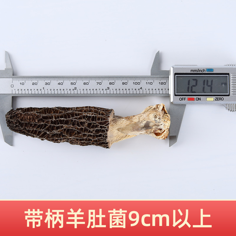 9cm 이상 풀컷 손잡이(손잡이 길이 1cm 이내) 모렐 500g