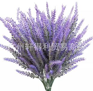 �羳���滨޹�²�5��ֲ�q�������컨�������ֲ���b����ϻ�С��