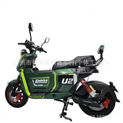 from Factory for Foreign Trade Export, Elektrikli motosikletlər - green-export-bare-bike-battery-not-included