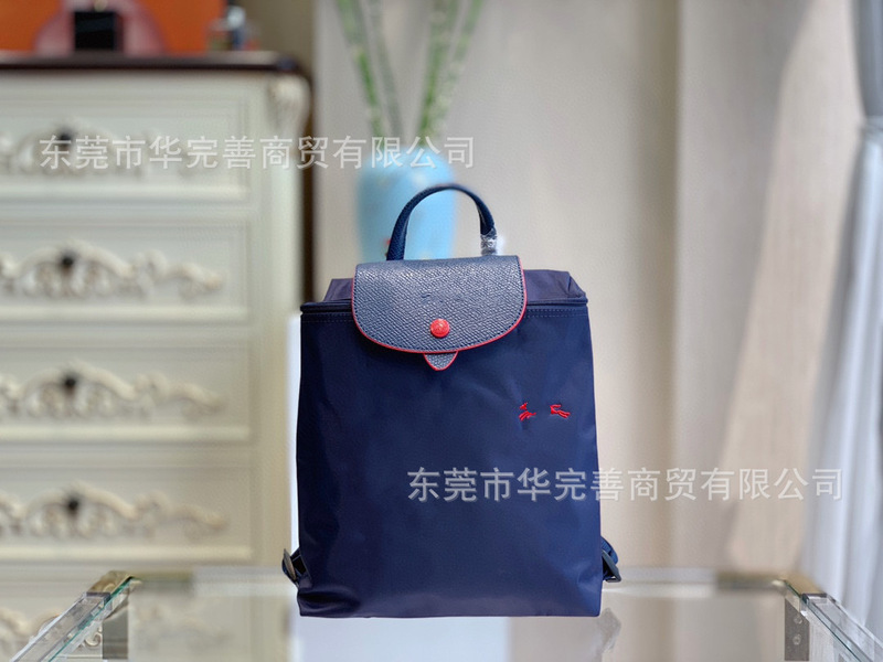莞产跨境骧家双肩包轻便休闲旅行防水背包女式手提书包2025新款|undefined