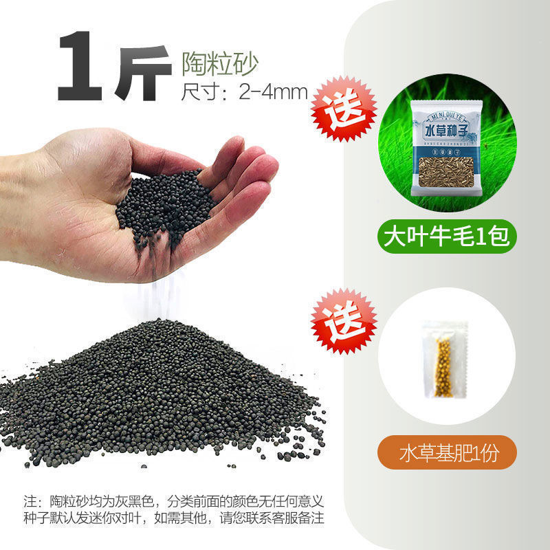 嘘援娉ユ壒鍙戙€愪笉舞枃丸瀀耣ャ€戦櫠绮掔戞枸shoulder a few搴琴爞更曟曟曘昘棌绠 argue