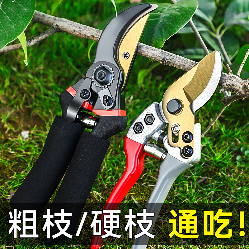 Una pieza de corte por lotes de árboles frutales, ramas gruesas y bocas grandes, tijeras de podar, tijeras de podar de jardín de jardinería de acero sk5 de estilo japonés que ahorran mano de obra